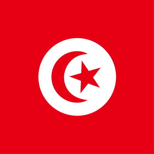{locationCode=TN, locationLogo=/img/flags/tn.png, locationName=Tunisia, operatorList=[Ljava.lang.Object;@36bdac70}